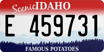 ID license plate E459731