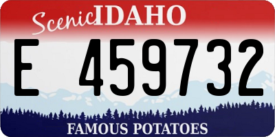 ID license plate E459732