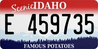 ID license plate E459735