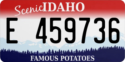 ID license plate E459736