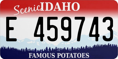 ID license plate E459743