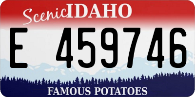 ID license plate E459746