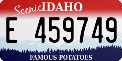 ID license plate E459749