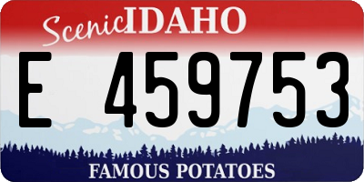 ID license plate E459753