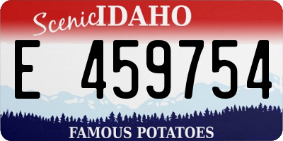 ID license plate E459754