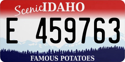 ID license plate E459763