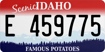 ID license plate E459775