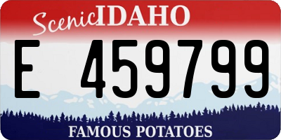 ID license plate E459799