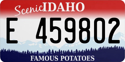 ID license plate E459802