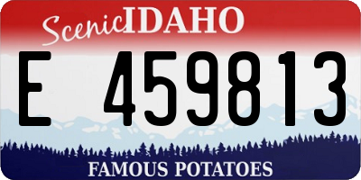 ID license plate E459813