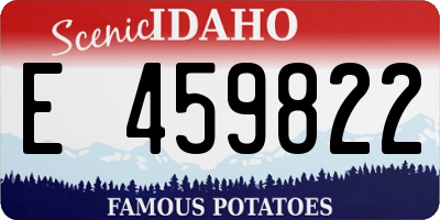 ID license plate E459822