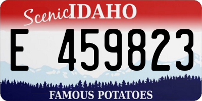 ID license plate E459823