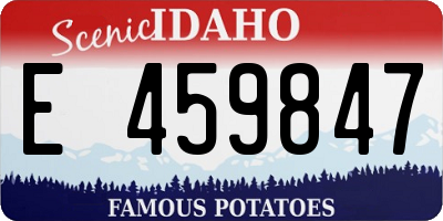 ID license plate E459847