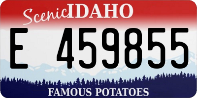 ID license plate E459855