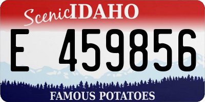 ID license plate E459856