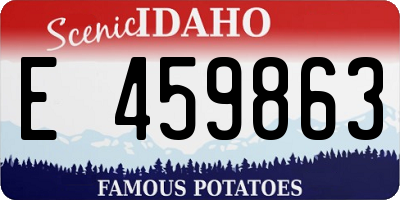 ID license plate E459863