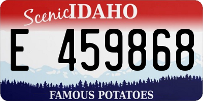 ID license plate E459868