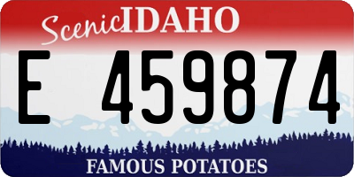 ID license plate E459874
