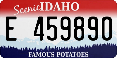 ID license plate E459890