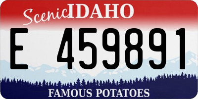 ID license plate E459891