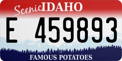 ID license plate E459893