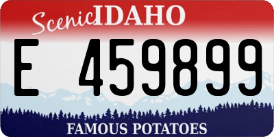 ID license plate E459899