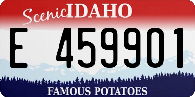 ID license plate E459901