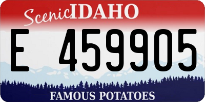 ID license plate E459905