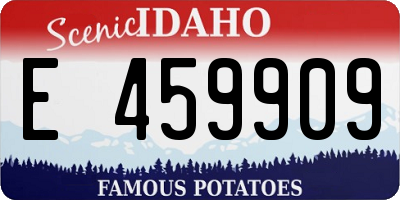 ID license plate E459909