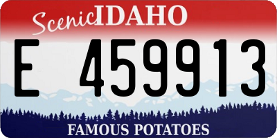 ID license plate E459913