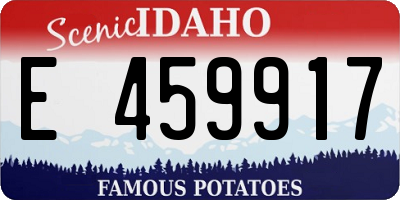 ID license plate E459917