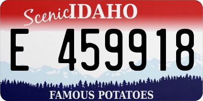 ID license plate E459918
