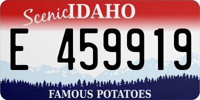 ID license plate E459919