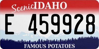 ID license plate E459928