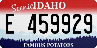 ID license plate E459929
