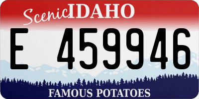ID license plate E459946