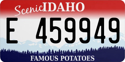 ID license plate E459949