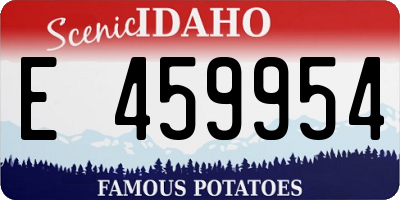 ID license plate E459954