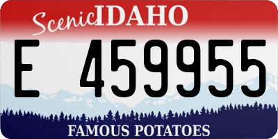ID license plate E459955