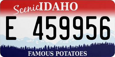 ID license plate E459956