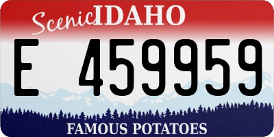 ID license plate E459959