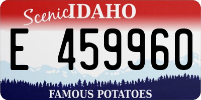 ID license plate E459960