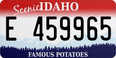 ID license plate E459965