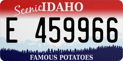 ID license plate E459966