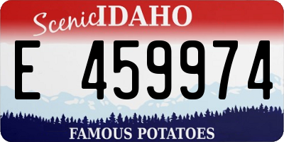 ID license plate E459974