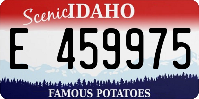 ID license plate E459975