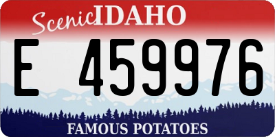 ID license plate E459976
