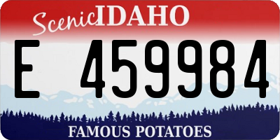 ID license plate E459984
