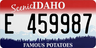 ID license plate E459987