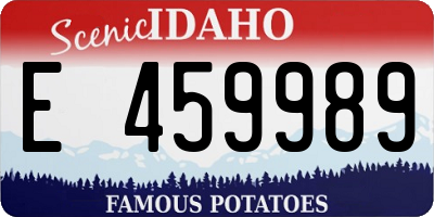 ID license plate E459989